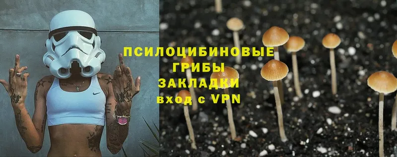 дарнет шоп  Жуковка  Псилоцибиновые грибы Magic Shrooms 